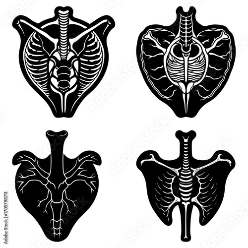 Four anatomical heart illustrations with rib cages and vascular systems in black and white style design