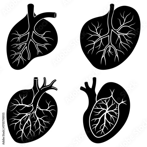 Four anatomical heart illustrations depicting the organ with veins and arteries in a stylized black silhouette