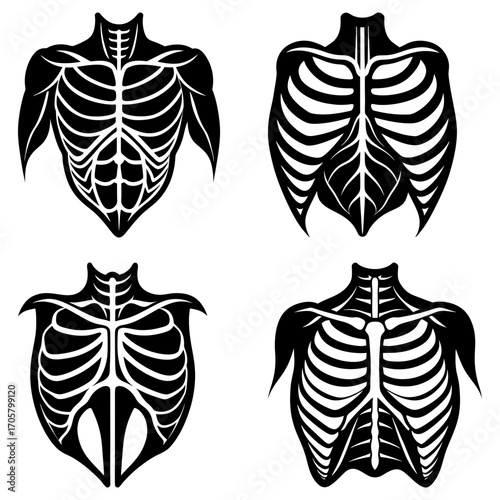 Illustration showing four stylized ribcage designs with varying shapes and artistic interpretations shown