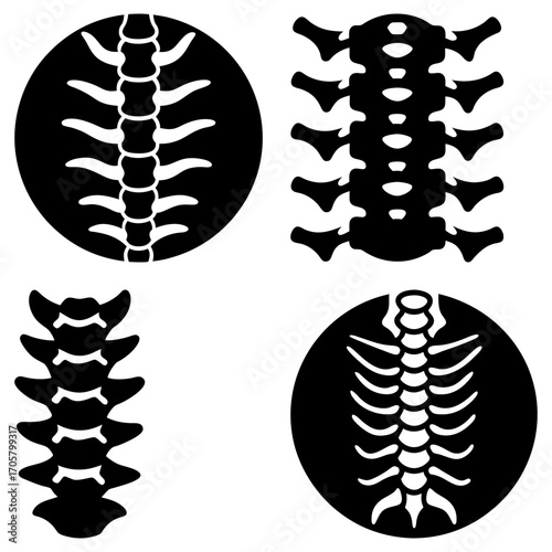 Four stylized black and white spinal column illustrations in varying perspectives and arrangements