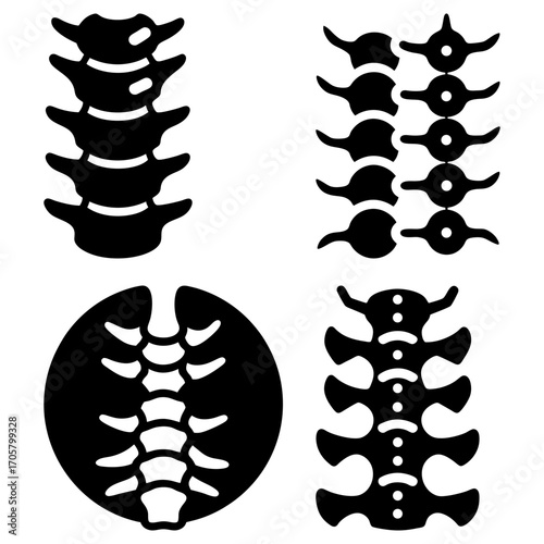 Four spine illustrations showing different views and styles in black and white medical anatomical representation