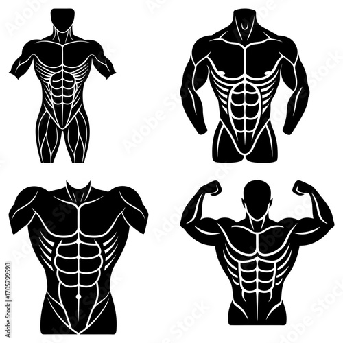 Four black and white illustrations of muscular male torsos with visible abs and muscle definition shown