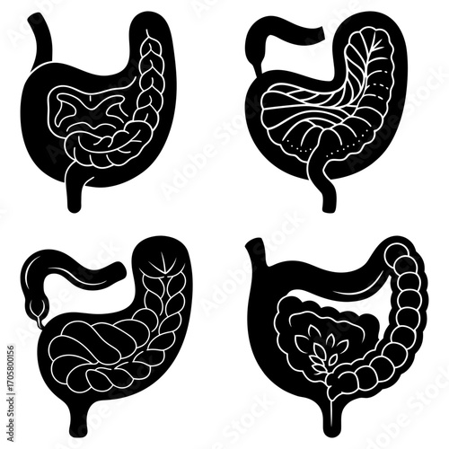 Illustration showing four different anatomical views of the human digestive system in black and white color