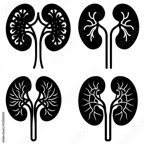 Four stylized kidney illustrations with varying internal designs in black and white format displayed