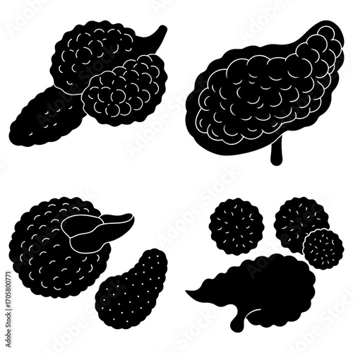 Four pancreas illustrations in black and white showing different views and shapes of the organ system