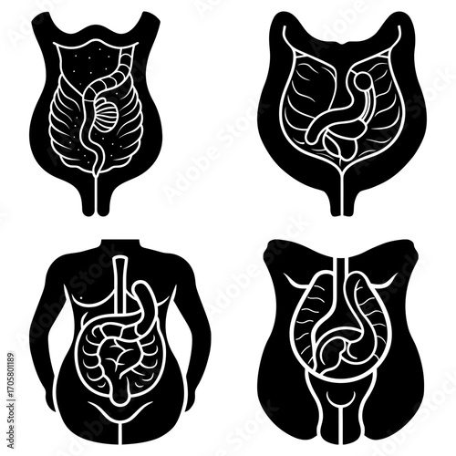 Four anatomical illustrations depicting the human digestive system in black and white outline format