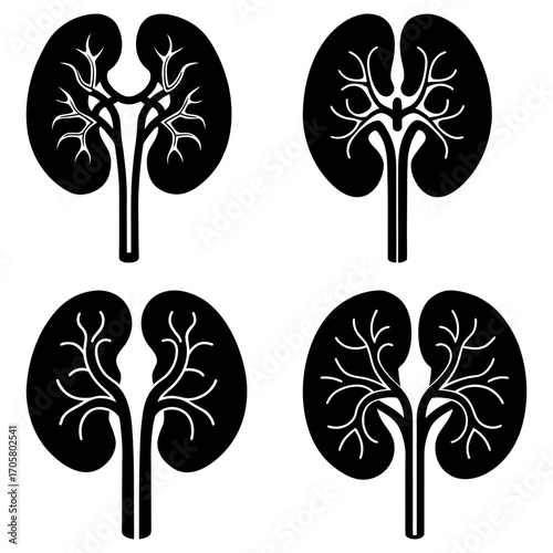 Four stylized black kidneys with branching vessels arranged symmetrically on a white background design art