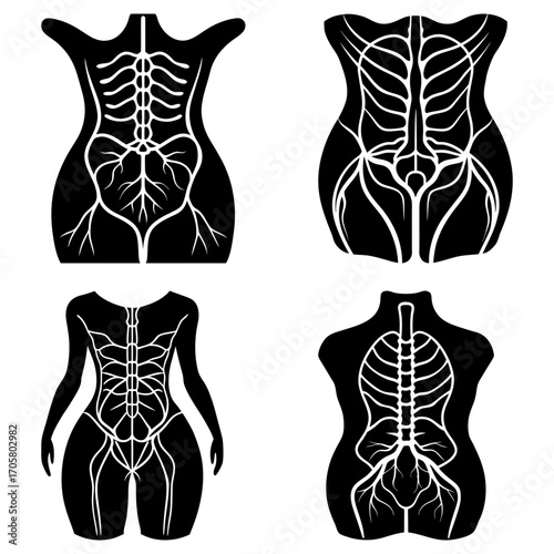 Four anatomical illustrations depicting the upper torso and vascular system in black and white silhouette style