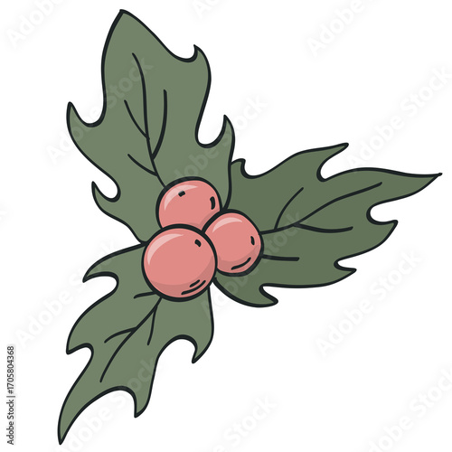 Hand drawn Christmas doodle of holly with leaves, PNG cartoon element, clipart, sticker design for prints, cards, posters, banners, social media, etc.