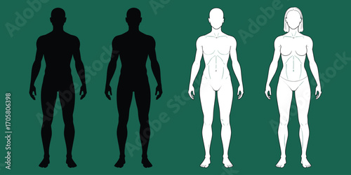 Black and white human body outlines and silhouettes on a green background male