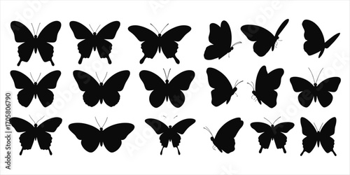 Black silhouette butterflies in various poses and orientations on white background Keywords: butterfly, silhouette, insect