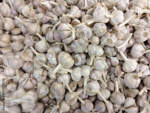 piles of garlic in supermarket display baskets, a bunch of garlic sold in stores, fresh garlic in store baskets