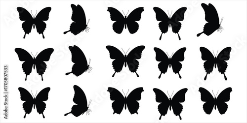 Collection of black butterfly silhouettes in various flying and resting poses on white insect wings