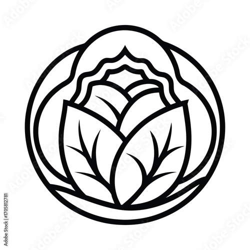 Cabbage slice showing inner layers with detailed line art vector design