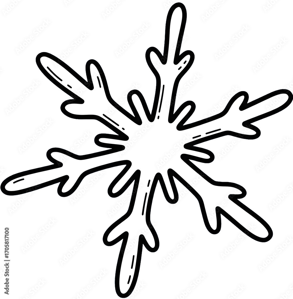 Fototapeta premium snowflake