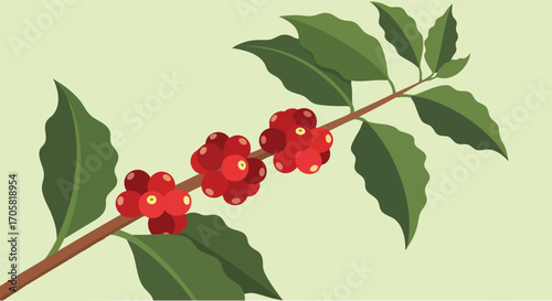 Coffee Cherry's branch: Close-up illustration of vibrant coffee cherries attached to a branch, with lush green leaves on a subtle gradient background. capturing the natural elements.