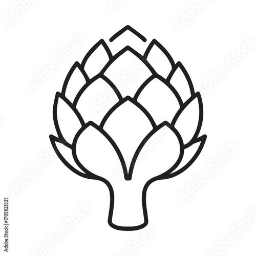 Hand drawn style artichoke with natural green shading and texture