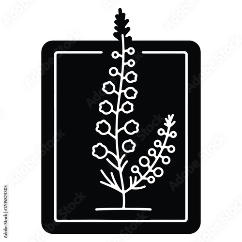 Botanical illustration of a flowering plant on a dark background elegant and minimalist design representing nature organic elements and serene beauty suitable for various creative projects