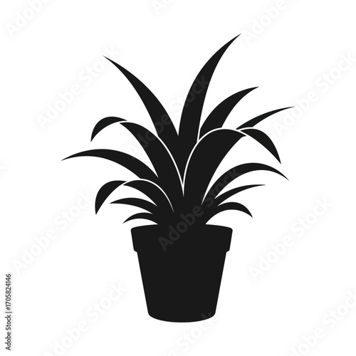 Potted plant silhouette isolated on white background
