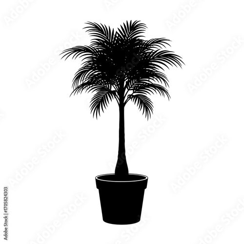 Black silhouette of a potted palm tree isolated on white background silhouette
