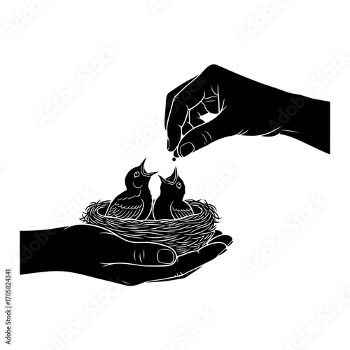 Hand feeding baby birds in nest silhouette isolated on white background