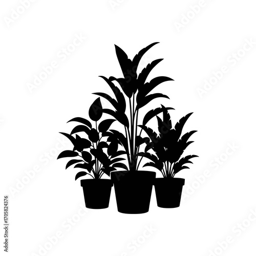Group of potted plants silhouette isolated on white background
