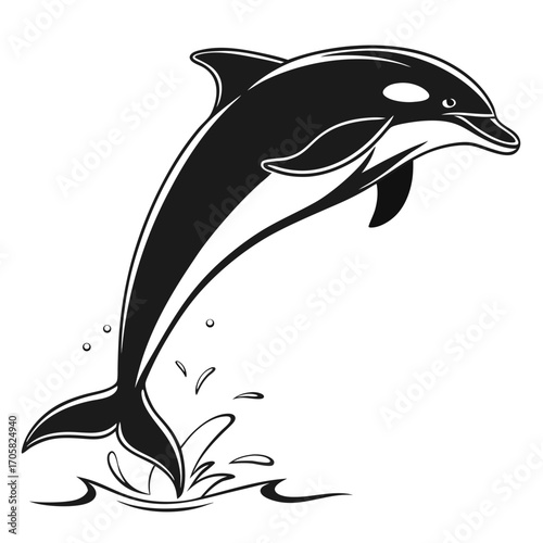dolphin vector 