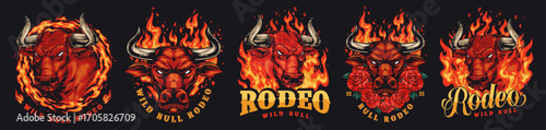 Fire-themed wild bull rodeo artwork display