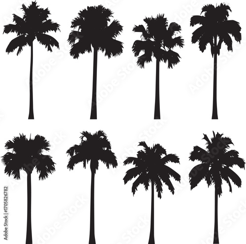 create Set of different palm tree silhouette isolated on white background, stock vector illustration stock illustration.