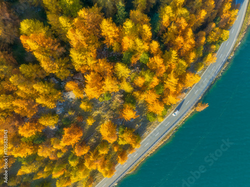 Winding road along the lake. Road near the forest. Drone view of a road with ...