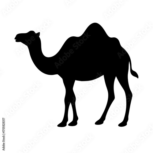 Minimalist black silhouette vector icon of a camel, symbolizing desert, travel, and adventure. Isolated on a transparent background