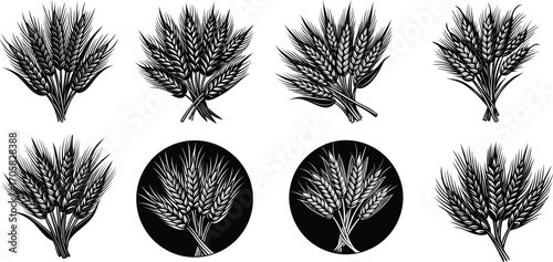 Wheat Ears Vector Agriculture Farm Illustration