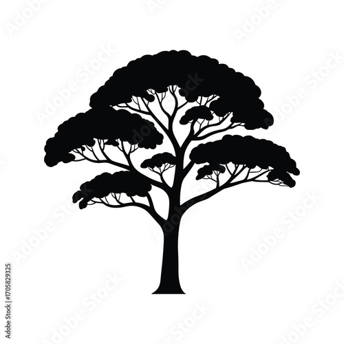 Silhouette of a large deciduous tree with spreading branches and lush foliage against a white backdrop
