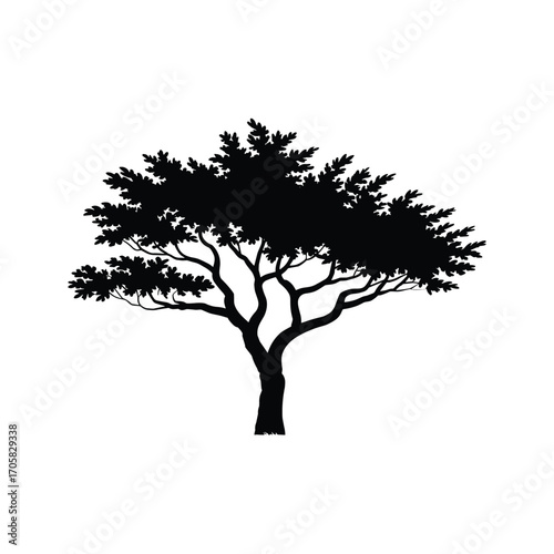 Silhouette of a large deciduous tree with spreading branches and lush green foliage in clear daylight