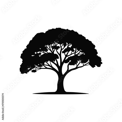 Silhouette of a mature tree with sprawling branches and lush foliage against a clean background