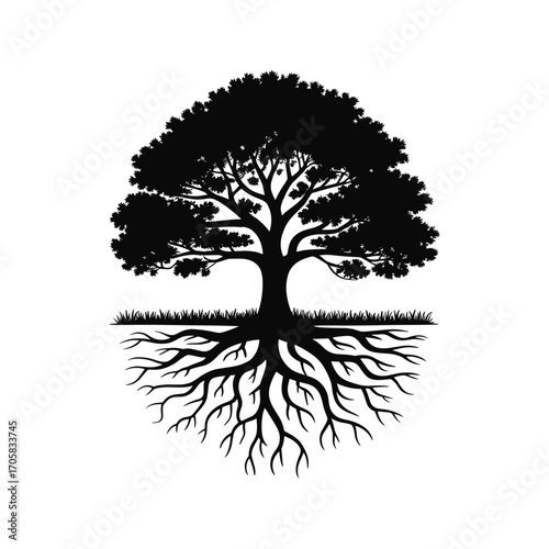Silhouette of a majestic tree with exposed roots and grassy ground symbolizing growth and stability