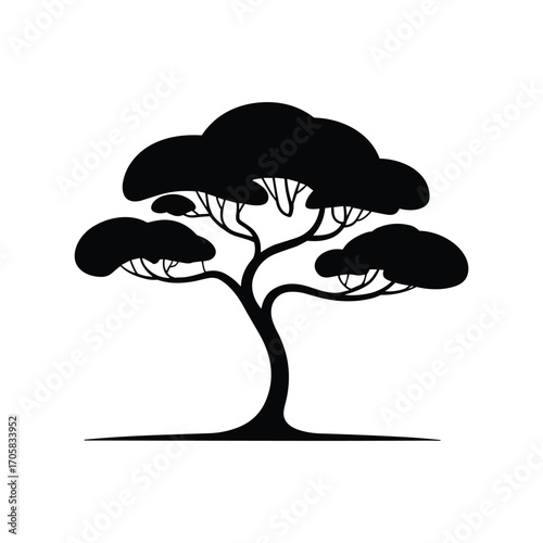 Silhouette of a stylized bonsai tree with lush canopy on