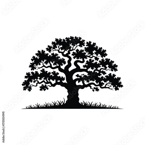 Majestic silhouette of a mature oak tree with lush foliage on a white canvas