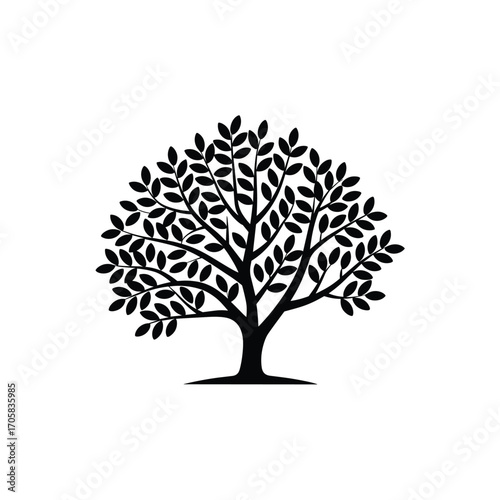 Silhouette of a majestic tree with lush foliage against a clear backdrop