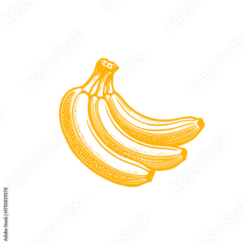 Abstract fruit. Yellow bananas 