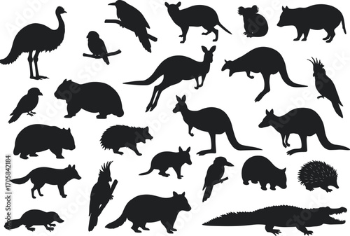 Australian animal silhouettes set, vector illustration of kangaroo, koala, wombat, emu, platypus, crocodile, echidna, bird and wildlife icons