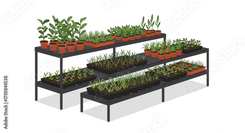 Indoor plant shelves with diverse greenery in pots and planters