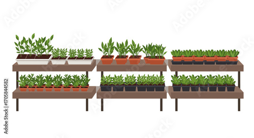 Indoor plant nursery shelves with various potted plants in flat design