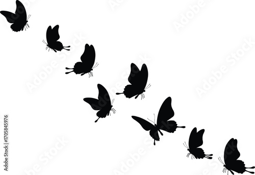 Butterfly swarm silhouette in diagonal flying line, spaced butterflies, black insect vector design, elegant butterfly formation, decorative butterfly illustration