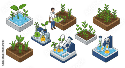 Scientist cultivating plants in lab with hydroponic and soil growth systems
