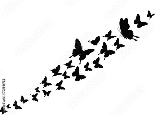 Butterfly swarm silhouette in diagonal upward flight, elegant insect vector design, black butterflies group, decorative wildlife illustration, flying butterfly pattern