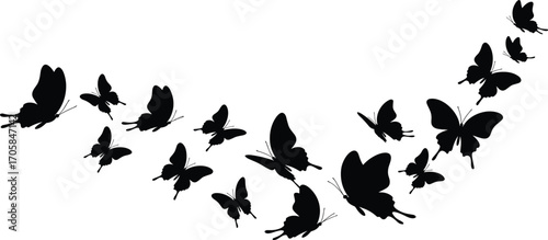 Butterfly swarm silhouette in flying curve formation, black insects vector illustration, decorative butterfly group design, elegant nature wildlife artwork