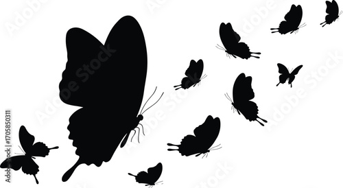 Large butterfly silhouette with smaller butterflies trailing, black flying insect vector illustration, isolated decorative nature design, group butterfly artwork