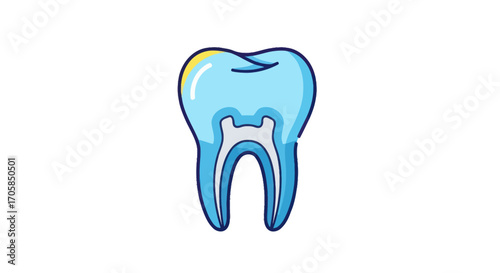 Stylized Illustration of a Healthy Human Tooth with Visible Roots.