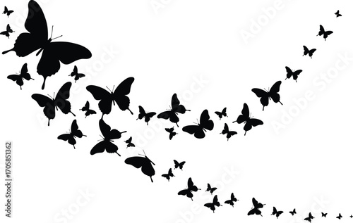 Butterfly silhouettes in long curved swarm formation, black flying insect vector illustration, isolated decorative butterfly group from large to small